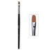 Sculptor Brush #08 / Long