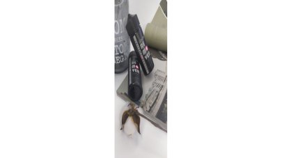 Remover for removing paint from skin Color Remover Sferakosmetiki