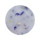 Shelly Hydrogel Hand Mask - HudroJelly Hand Mask - with Cornflower Petals, 200 g