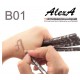 Eyebrow pencil powder WoBs AlexA / B01 (gray-brown)