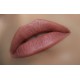 Lip pencil WoBs AlexA / L02 (caramel pink)