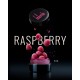 Клей без клея для ламинирования ресниц Sculptor - Lash Lift - RASPBERRY, 10 г