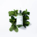 Shelly Nail & Cuticle Oil with Moroccan Mint Extract & Tea Tree Oil, 30ml