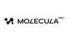 Molecula