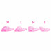 Korean-style eyelash lamination shield set 4 pairs - transparent pink | boxed |