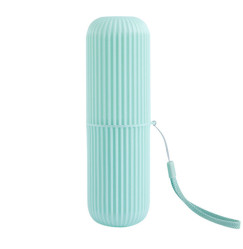 Organizer case plastic / mint
