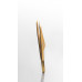ZOLA Professional Angled Eyebrow Tweezers - Premium Series - Gold