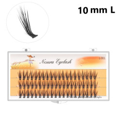 Nesura L-Curl 20D cluster eyelashes | 0.10 | 10 mm