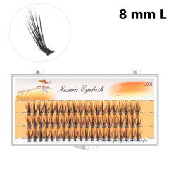 Nesura L-Curl 20D cluster eyelashes | 0.10 | 8 mm