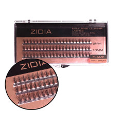Bundles 20D M 0.10, 3 tapes ZIDIA Exclusive Cluster Lashes Flame Series / Mix 9, 10, 11 mm