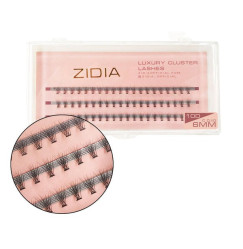 ZIDIA Luxury Cluster Lashes 10D (C 0.10, 3 strips) - 6 mm