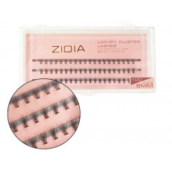 Ресницы-пучки ZIDIA Luxury Cluster Lashes 10D (C 0.10, 3 ленты) - 6 мм
