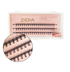 ZIDIA Luxury Cluster Lashes 10D (C 0.10, 3 strips) - 8 mm
