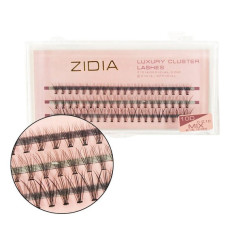 Bundles 10D C 0.10, 3 tapes ZIDIA Luxury Cluster Lashes / Mix 8, 10, 12 mm
