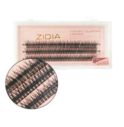 Eyelashes-bunches ZIDIA Luxury Cluster Lashes Fish tail 12D (C 0.10, 3 strips) - 12 mm