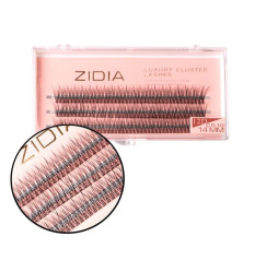 ZIDIA Luxury Cluster Lashes Fish tail 12D (C 0.10, 3 strips) - 14 mm