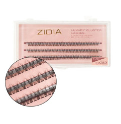 ZIDIA Luxury Cluster Lashes Fish tail 12D (C 0.10, 3 strips) - 6 mm