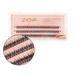 ZIDIA Luxury Cluster Lashes Fish tail 12D (C 0.10, 3 strips) - 8 mm