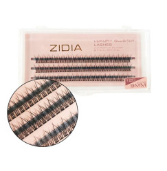 ZIDIA Luxury Cluster Lashes Fish tail 12D (C 0.10, 3 strips) - 9 mm