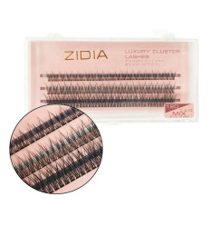 Eyelashes-bunches ZIDIA Luxury Cluster Lashes Fish tail 12D (C 0.10, 3 strips) - Mix 8, 10, 12 mm