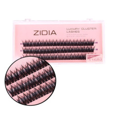 Eyelashes-bunches ZIDIA Luxury Cluster Lashes Fish tail 24D (C 0.10, 3 strips) - 11 mm