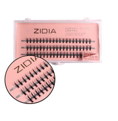 ZIDIA Luxury Cluster Lashes KIM 16D (C 0.10, 3 strips) - Mix S 8, 9, 10 mm