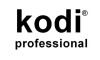 Kodi