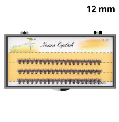 Nesura 20D cluster lashes | 0.07 C curl | 12 mm