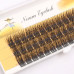 Nesura 42D wide cluster lashes | 0.05 C curl | 12 mm